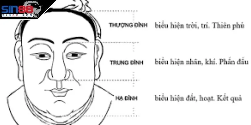 Hốt bạc cực khủng nhờ áp dụng tướng số để chọn số